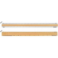 Double Bevel Architectural Ruler / A Scale Group (18")